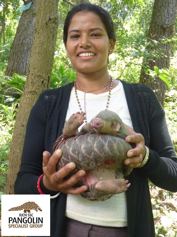 Prativa with Pangolin