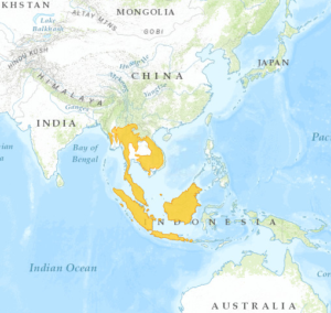 Sunda pangolin - Pangolin Specialist Group
