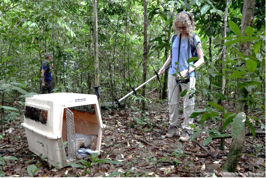 Monitoring Pangolin Populations Pangolin Specialist Group Monitoring Pangolin Populations Pangolin Specialist Group